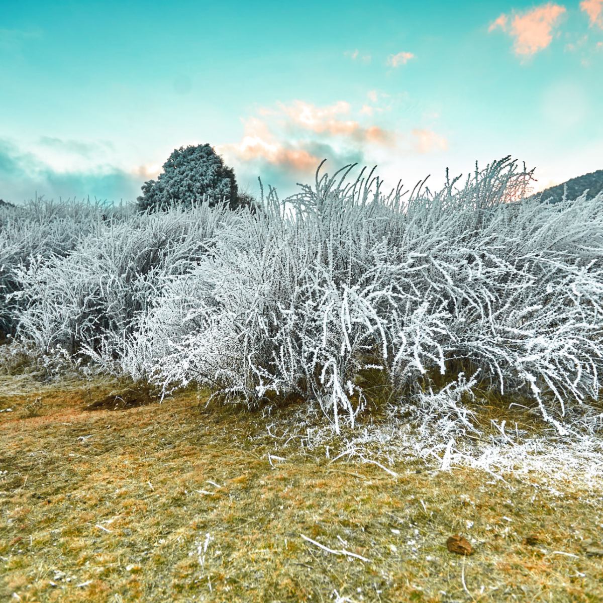 УЗБЕКИСТАН: зимой 2023-24 будет темно, но тепло