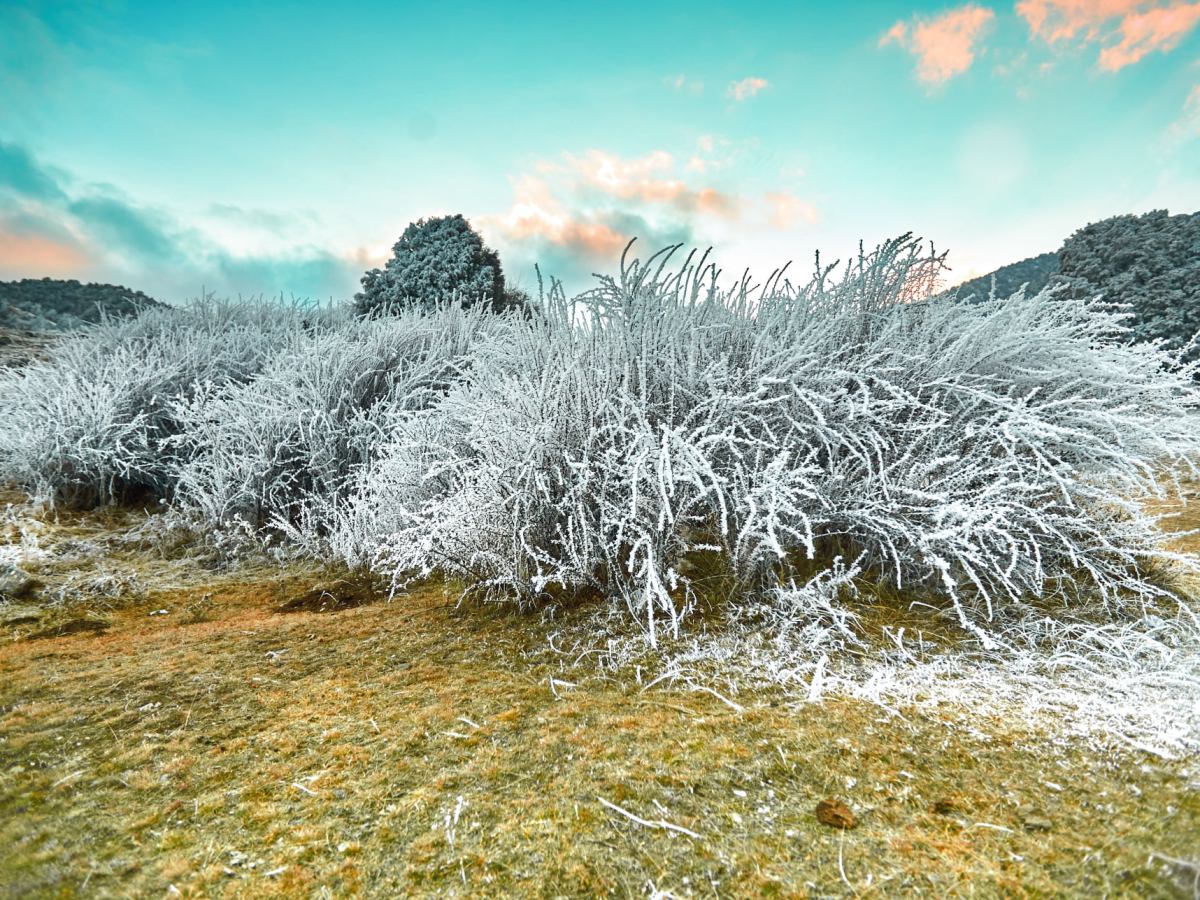 УЗБЕКИСТАН: зимой 2023-24 будет темно, но тепло