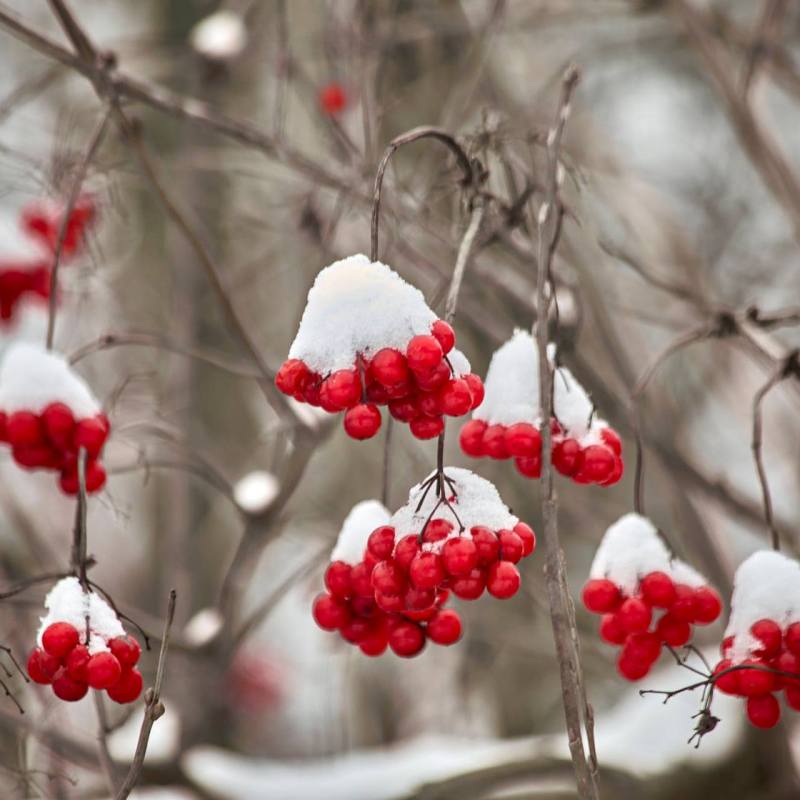 Кто, что и зачем строит в Казахстане