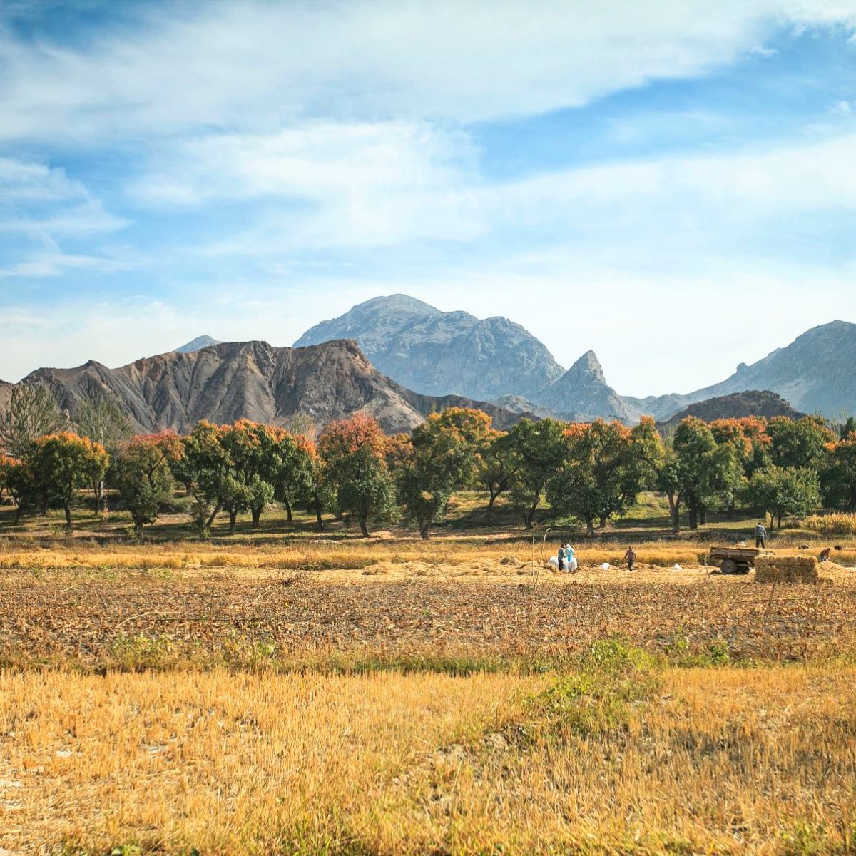 УЗБЕКИСТАН: проект Транскаспий, история есть, будут ли перспективы?