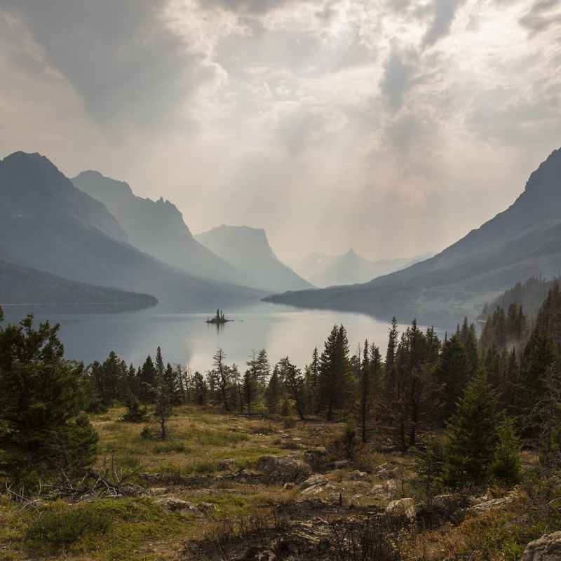 ТАДЖИКИСТАН: внутренняя политика – от кадровых рокировок до высадки 2 млрд тенеобразующих саженцев