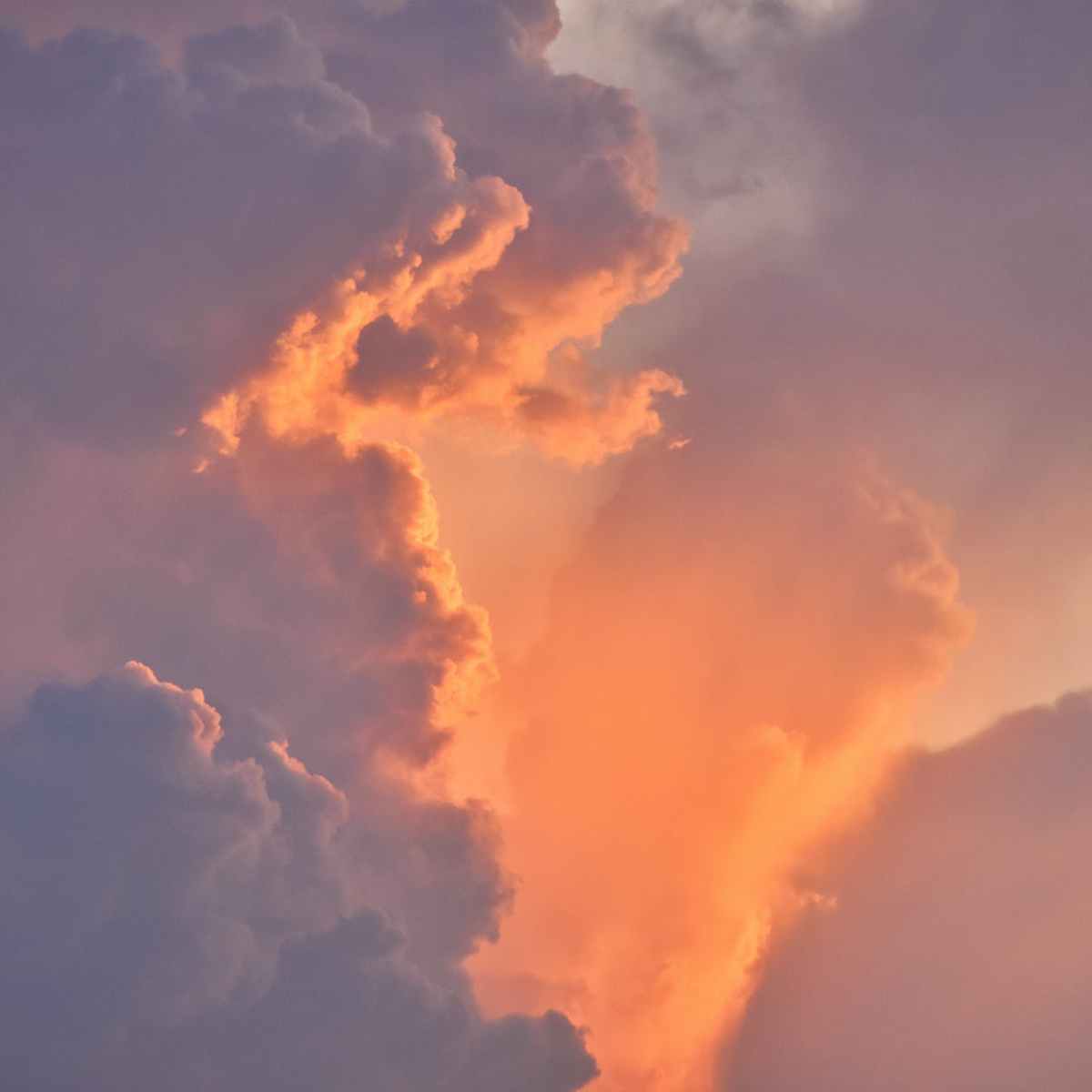 Кто будет строить «Новый Узбекистан»?