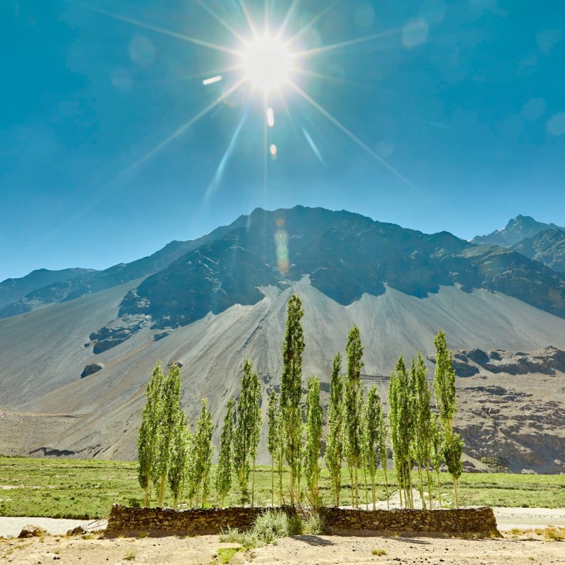 Виталий Волков: о «Вилаяте Хорасан»* и террористическом пуле разведок