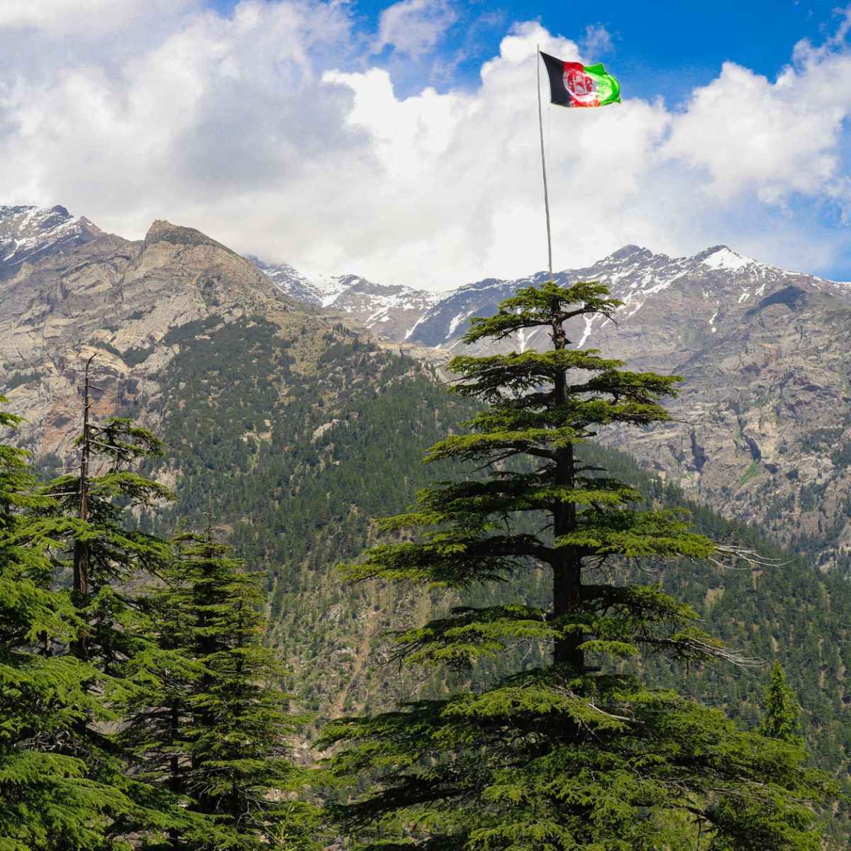 ТАДЖИКИСТАН: промышленность