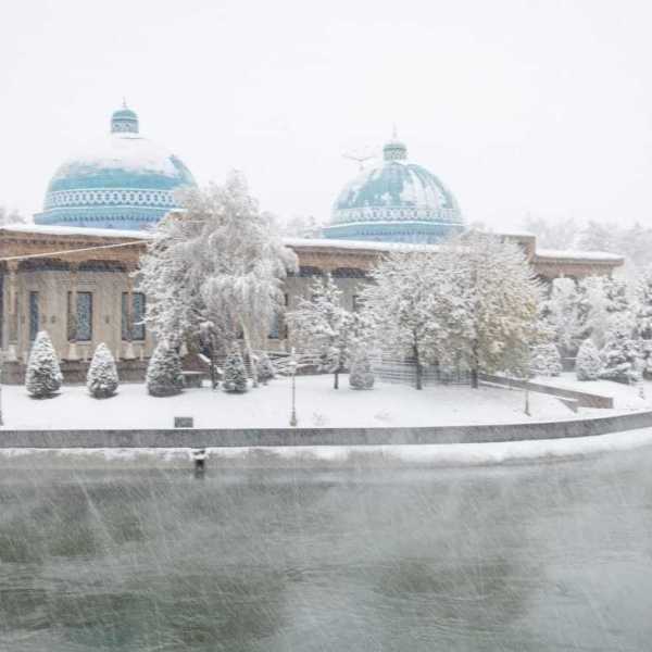 УЗБЕКИСТАН: зима как средство поднять дисциплину