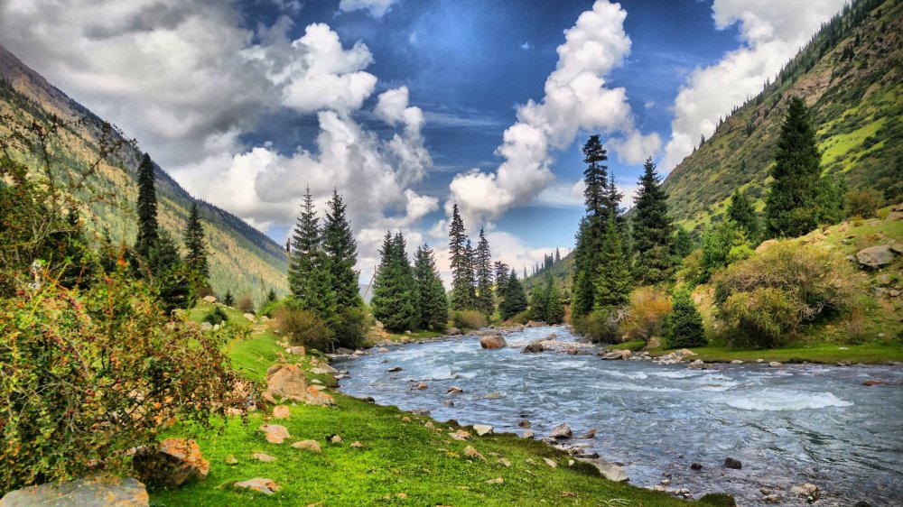 Страны СНГ принимают интеграционные решения для устойчивого развития