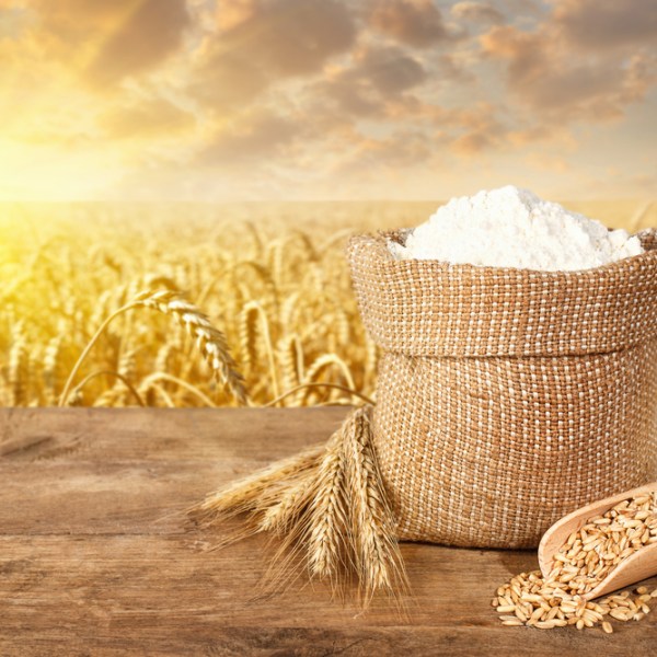 КАЗАХСТАН: пищевая промышленность