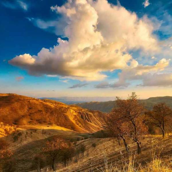 УЗБЕКИСТАН: управа на коррупционеров?