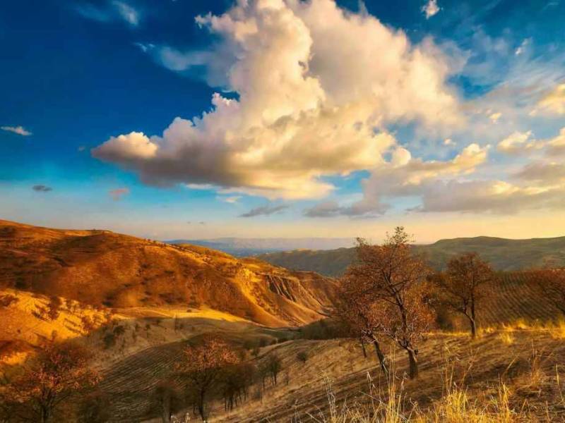 УЗБЕКИСТАН: управа на коррупционеров?