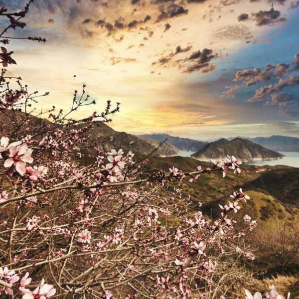 ТАДЖИКИСТАН-УЗБЕКИСТАН: соседские отношения