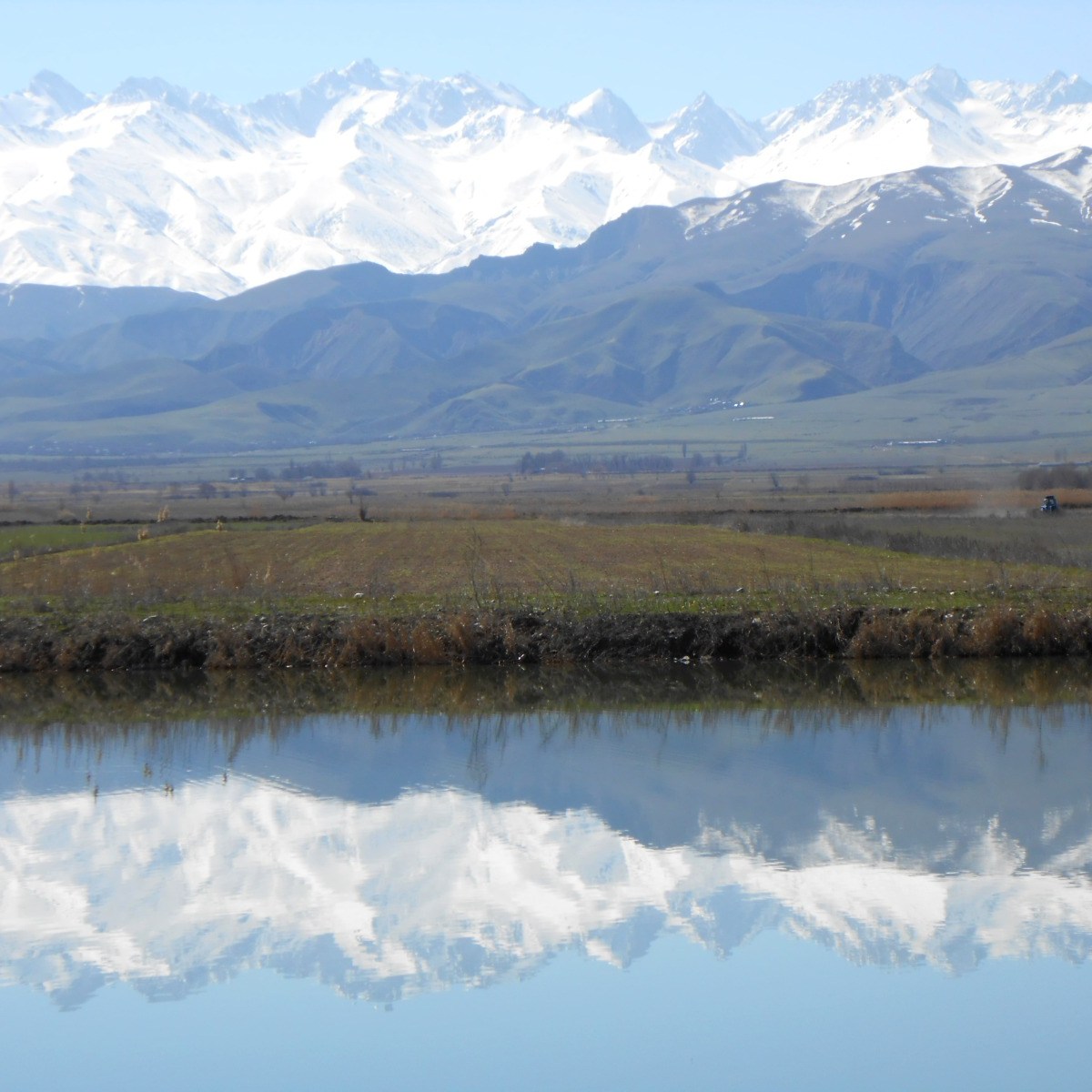 Центральная Азия и Россия: политика без иллюзий…